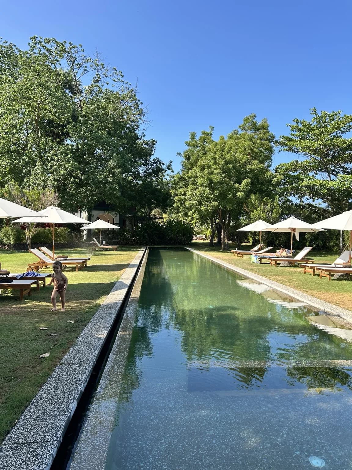 Dlouhý úzký bazén s lehátky ve svěží zelené zahradě Temple Tree Resort Langkawi