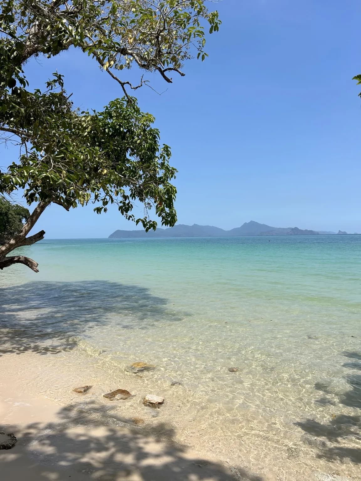 Průzračná tyrkysová voda na klidné pláži na Langkawi ve stínu stromu