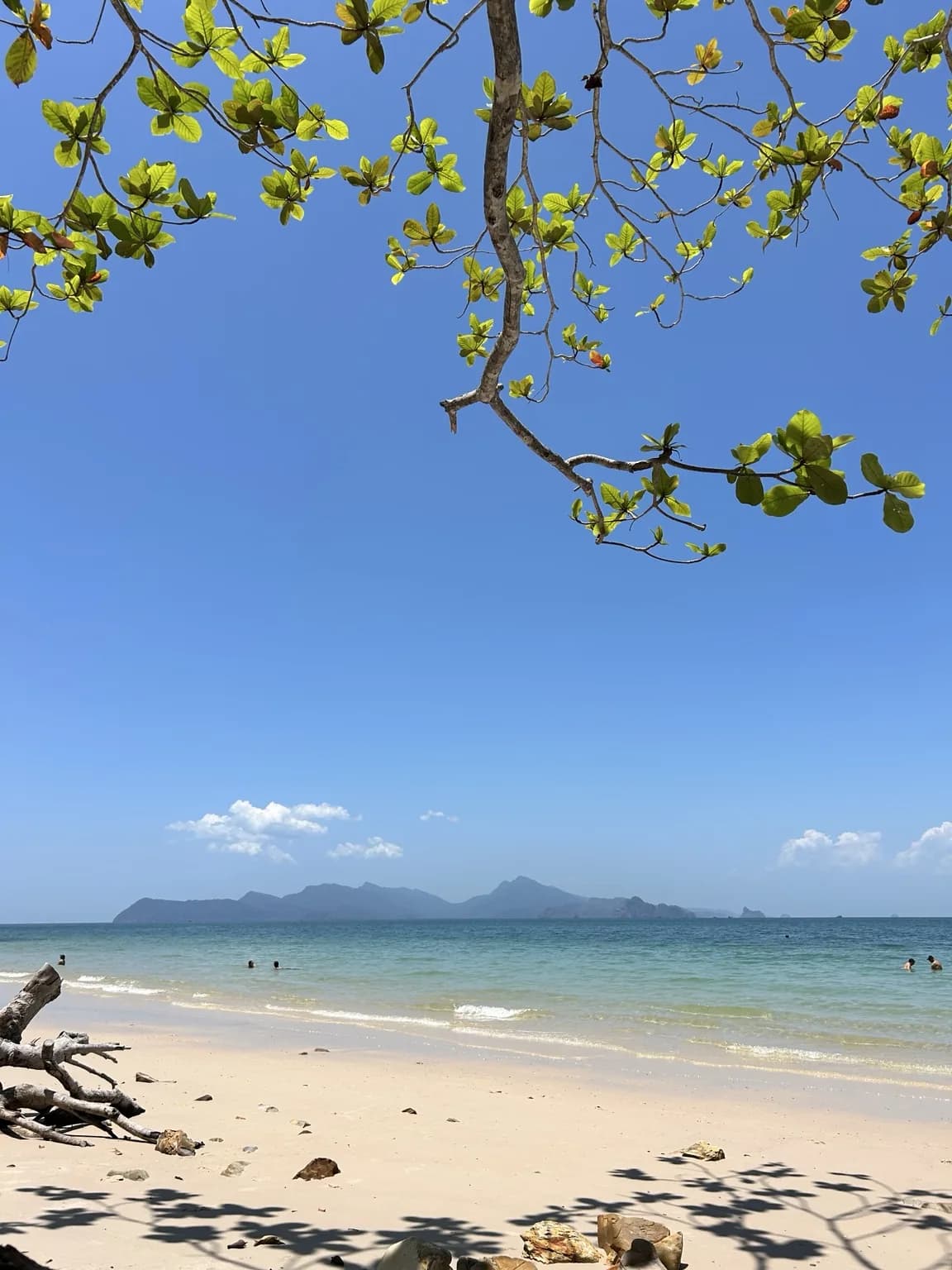 Palmy, lehátka a barevný stánek u pláže na Langkawi