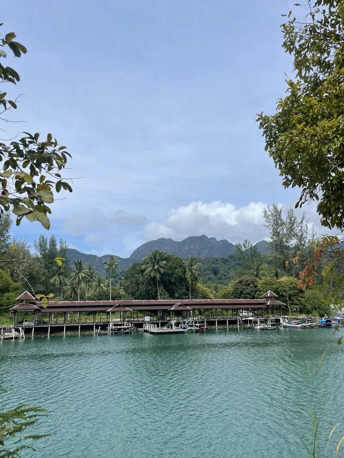 Malý přístav s loděmi a zelenými horami na Langkawi