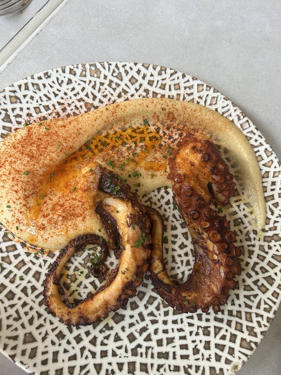 Grilovaná chobotnice na talíři v Boqueria Fina
