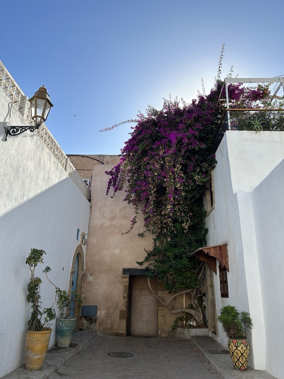 Bílé domy v Kasbah des Oudayas s růžovou bugenvileou