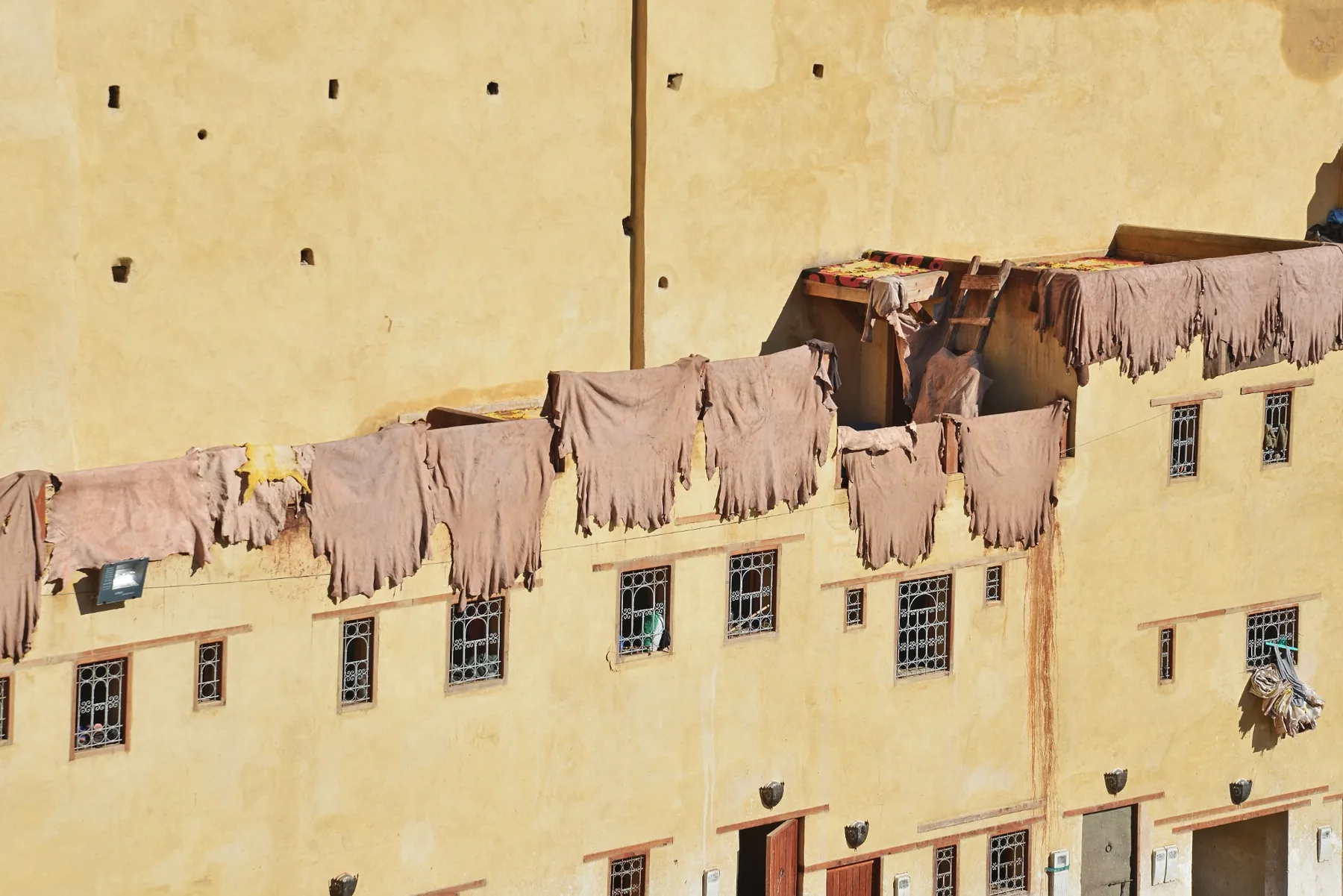 Kůže sušící se na zdech v okolí koželužen Chouara Tanneries ve Fezu