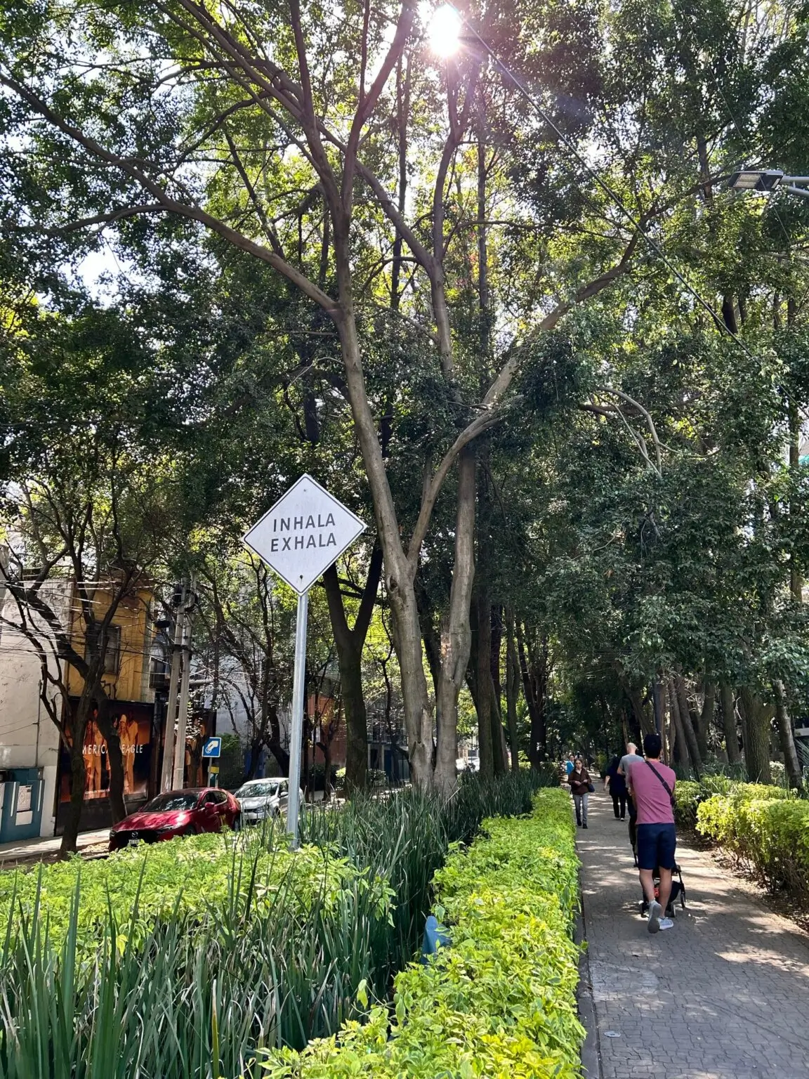 Co navštívit v Mexiko City - Stinná alej Avenida Ámsterdam v čtvrti Condesa, se stromy, chodníkem a cedulí „Inhala, Exhala