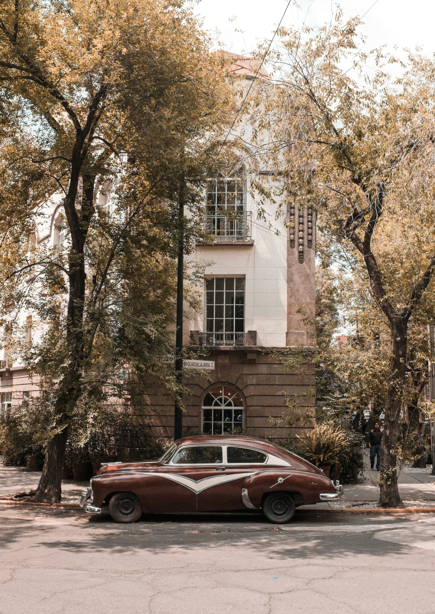 Vintage auto zaparkované pod stromy v ulici Guadalajara v Colonia Roma, Mexico City, s domem v art deco stylu.