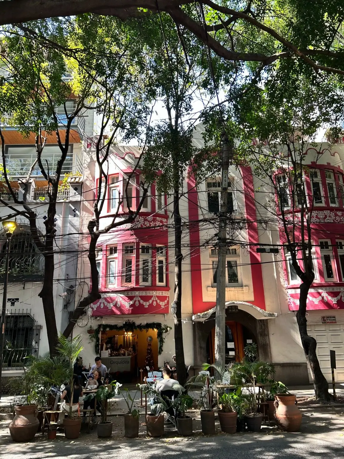 Barevná budova a kavárna Orquídea v čtvrti Condesa, Mexico City, se stolky venku pod stromy.