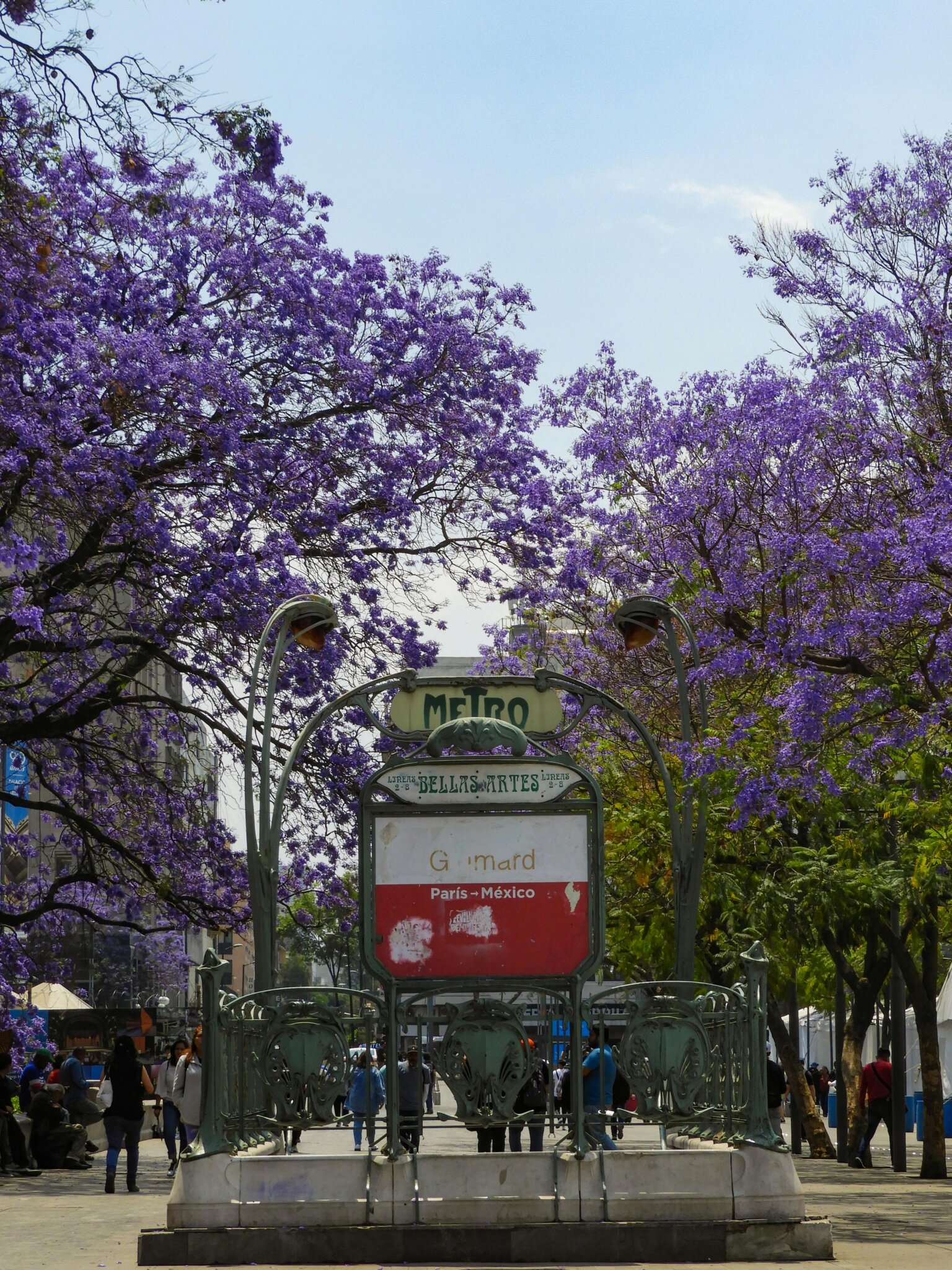 Metro v Mexico City - Vstup do stanice metra Bellas Artes obklopený rozkvetlými žakarandami.