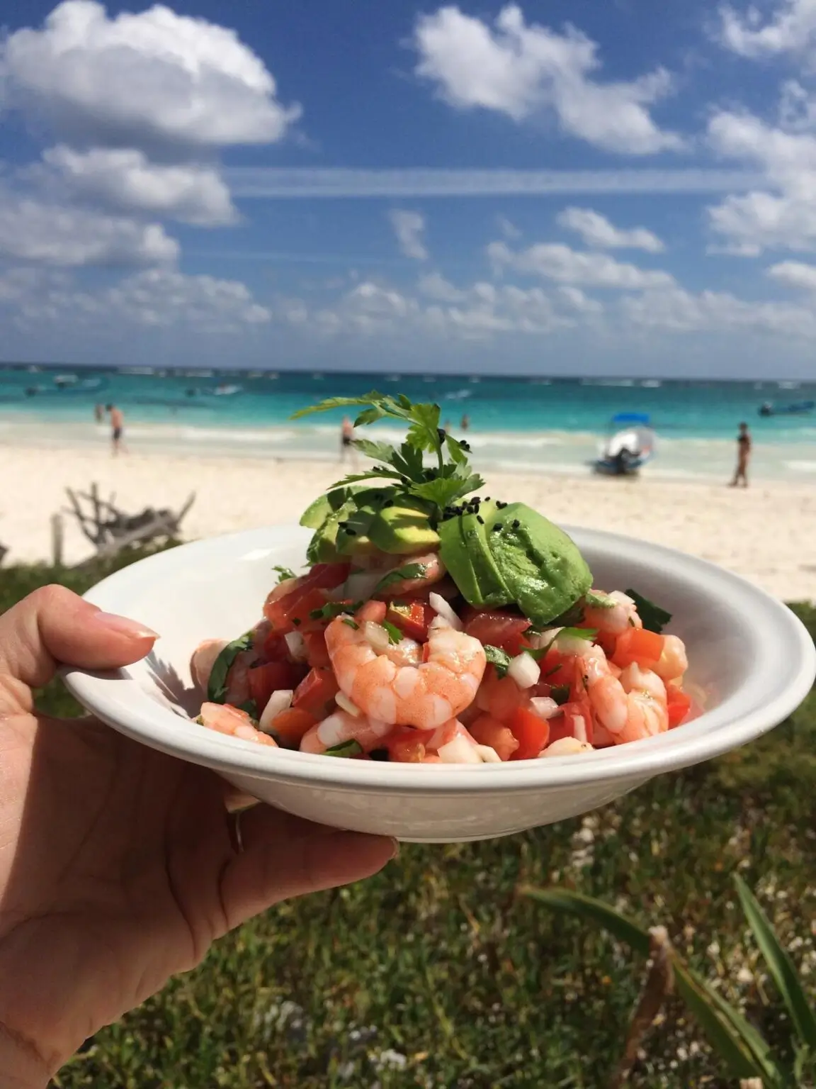 ruka držící talíř s ceviche na pláži playa paraíso v tulum na poloostrově yucatán, na pozadí bílého písku a karibského moře