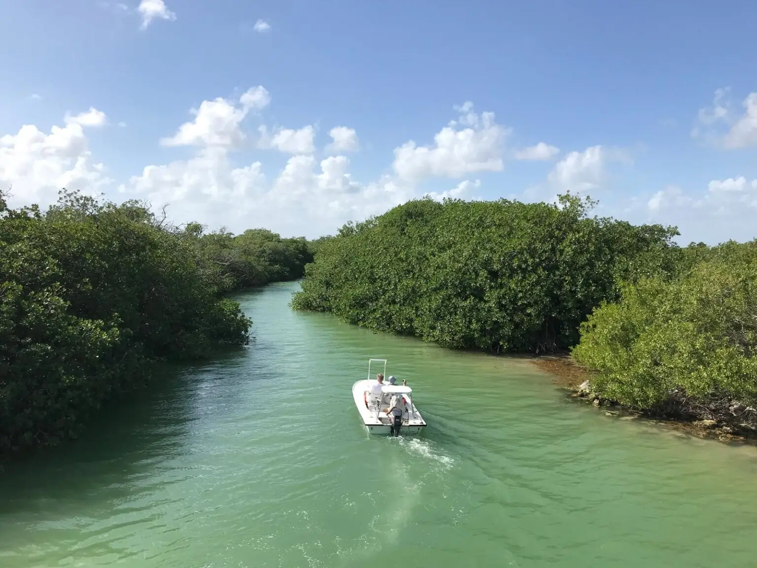 Motorový člun ve vodě kanálu mezi mangrovy v přírodní rezervaci Sian Kaan ve státě Quintana Roo, poloostrov Yucatán, Mexiko