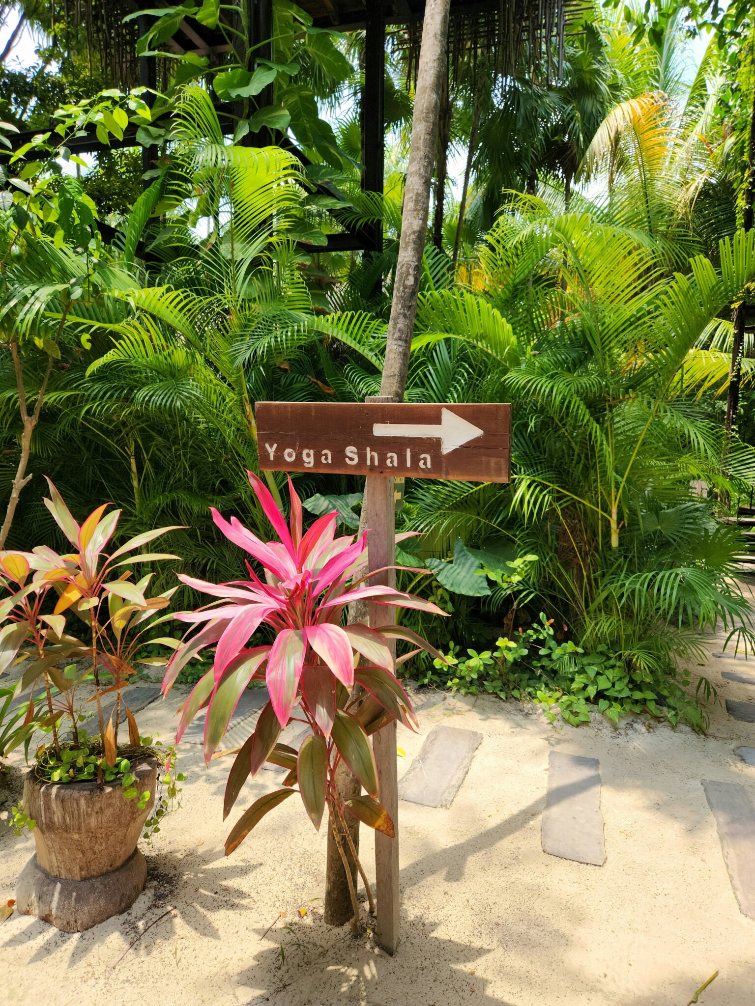 Jóga v Tulum
