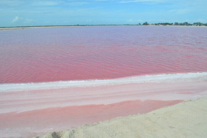 Pohled na růžovou vodu jezera Las Coloradas na poloostrově Yucatan v Mexiku