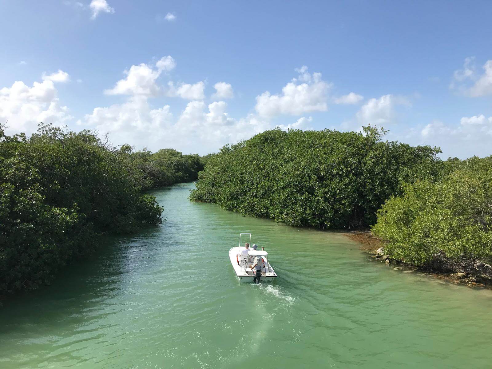Motorový člun ve vodě kanálu mezi mangrovy v přírodní rezervaci Sian Kaan ve státě Quintana Roo, poloostrov Yucatán, Mexiko
